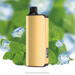 Alibarbar Vape Danmark - Alibarbar Ingot 9000 engangs vape DHP218 kølig mynte