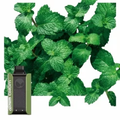 WAKA SoPro 10000 Puffs Fresh Mint – DUALMESH Engangsvape