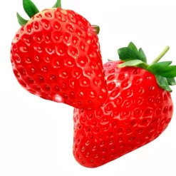 WAKA SoPro DUALMESH 10000 Puffs Strawberry Soda Genopladelig