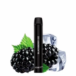IGET Shion Blackberry Ice 600 Puff - 3-Pak Engangs Vape