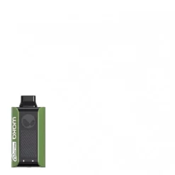 WAKA SoPro 10000 Puffs Minty Apple Tea Engangsvape 18ml